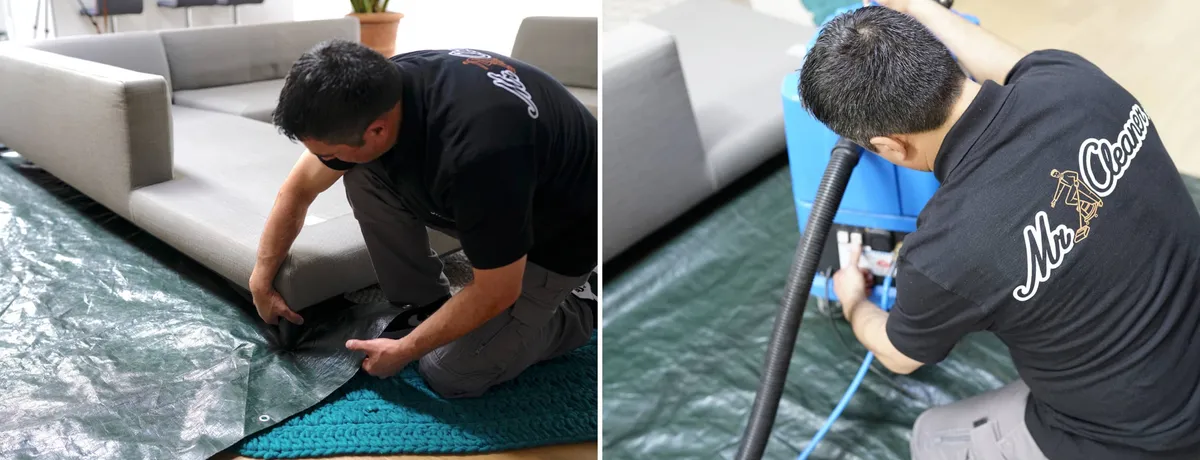 Titelbild: Sofa reinigen: Was gehört dazu und wie gehen Profis vor?
