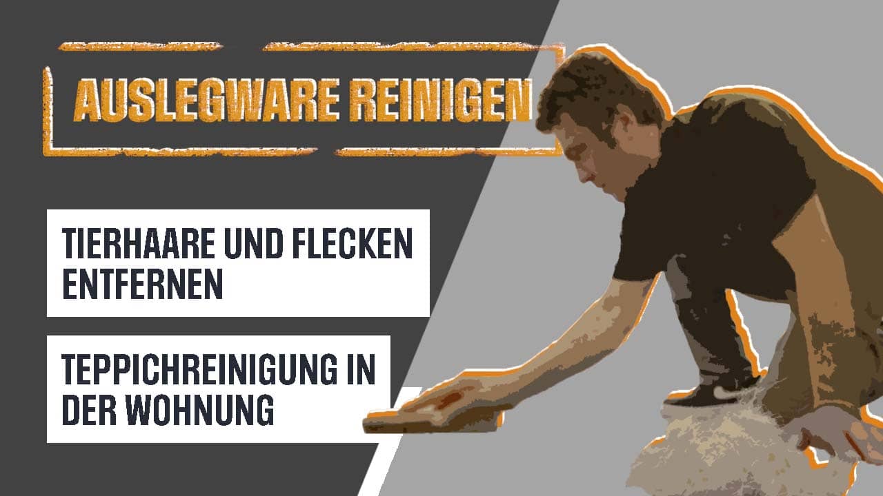 Video zur Auslegware reinigen