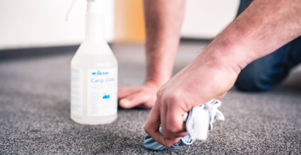 Beitragsbild: 10 Tipps für einen sauberen Teppich: Die besten Tipps gegen Flecken