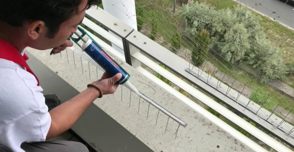 Beitragsbild: Effektive Taubenabwehr – So halten Sie Tauben fern von Terrasse und Balkon