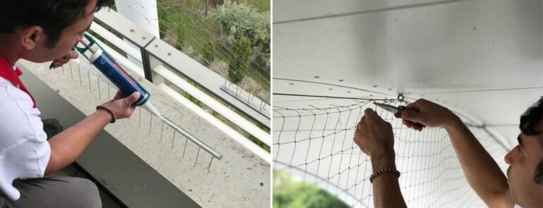 Blog Effektive Taubenabwehr – So halten Sie Tauben fern von Terrasse und Balkon